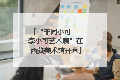 “非同小可——李小可艺术展”在西藏美术馆开幕