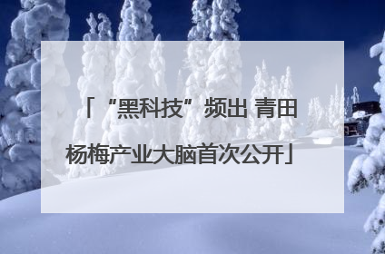 “黑科技”频出 青田杨梅产业大脑首次公开