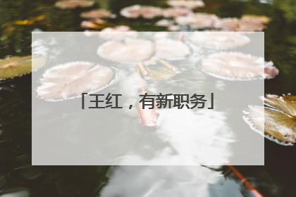 王红，有新职务