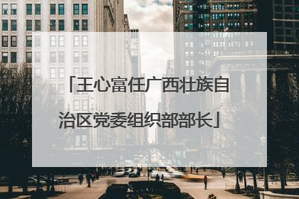 王心富任广西壮族自治区党委组织部部长