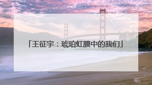 王征宇：琥珀虹膜中的我们