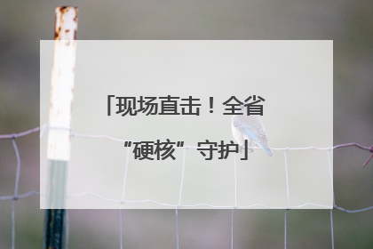 现场直击！全省“硬核”守护