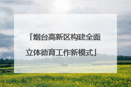 烟台高新区构建全面立体德育工作新模式
