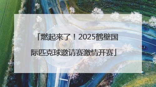 燃起来了！2025鹤壁国际匹克球邀请赛激情开赛