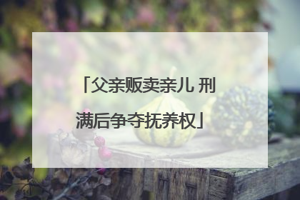 父亲贩卖亲儿 刑满后争夺抚养权