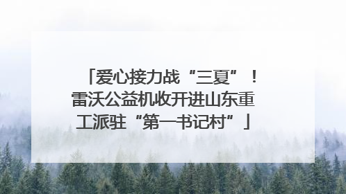 爱心接力战“三夏”！雷沃公益机收开进山东重工派驻“第一书记村”