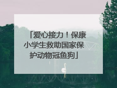 爱心接力！保康小学生救助国家保护动物冠鱼狗