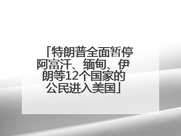 特朗普全面暂停阿富汗、缅甸、伊朗等12个国家的公民进入美国
