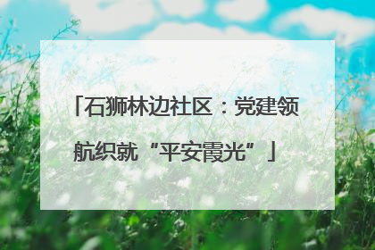 石狮林边社区：党建领航织就“平安霞光”