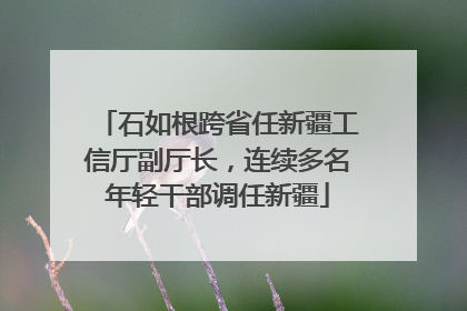 石如根跨省任新疆工信厅副厅长，连续多名年轻干部调任新疆
