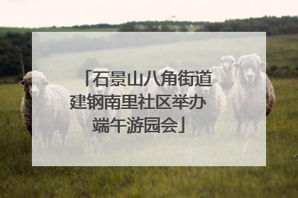 石景山八角街道建钢南里社区举办端午游园会