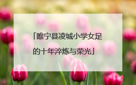 睢宁县凌城小学女足的十年淬炼与荣光