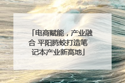 电商赋能，产业融合 平阳腾蛟打造笔记本产业新高地