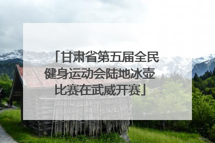 甘肃省第五届全民健身运动会陆地冰壶比赛在武威开赛
