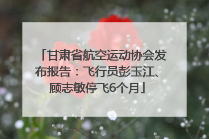 甘肃省航空运动协会发布报告：飞行员彭玉江、顾志敏停飞6个月