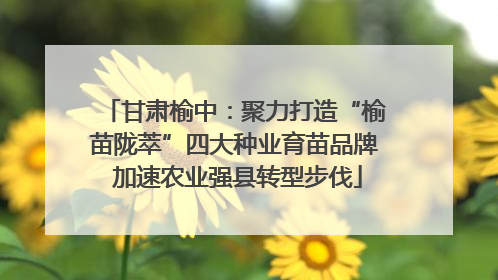 甘肃榆中：聚力打造“榆苗陇萃”四大种业育苗品牌 加速农业强县转型步伐