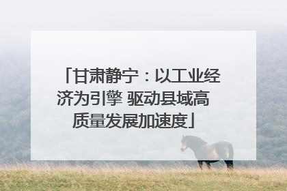 甘肃静宁：以工业经济为引擎 驱动县域高质量发展加速度
