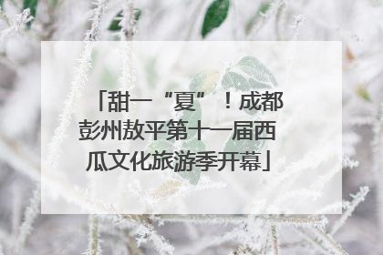 甜一“夏”！成都彭州敖平第十一届西瓜文化旅游季开幕