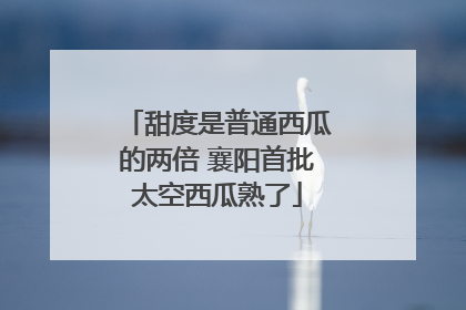 甜度是普通西瓜的两倍 襄阳首批太空西瓜熟了