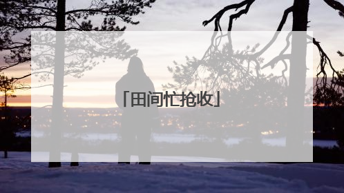 田间忙抢收