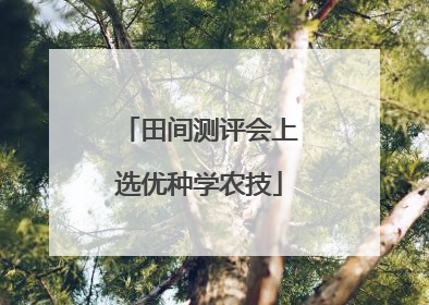 田间测评会上选优种学农技