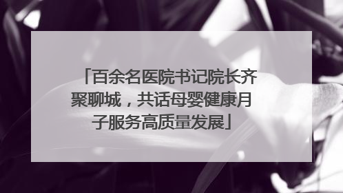百余名医院书记院长齐聚聊城，共话母婴健康月子服务高质量发展