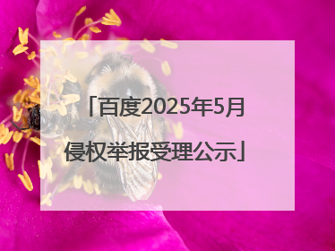 百度2025年5月侵权举报受理公示