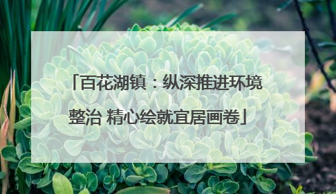 百花湖镇：纵深推进环境整治 精心绘就宜居画卷