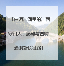 白酒江湖里的江西守门人，廖昶与四特酒的新长征路