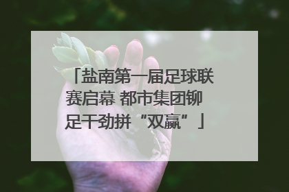 盐南第一届足球联赛启幕 都市集团铆足干劲拼“双赢”