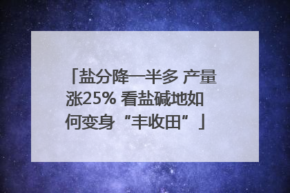 盐分降一半多 产量涨25% 看盐碱地如何变身“丰收田”