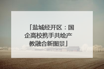 盐城经开区：国企高校携手共绘产教融合新图景