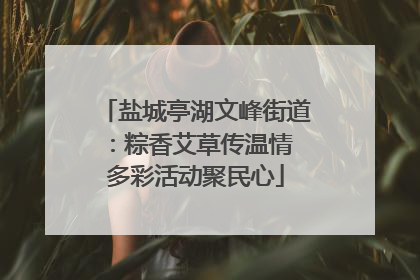 盐城亭湖文峰街道：粽香艾草传温情 多彩活动聚民心