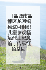 盐城市盐都区龙冈镇杨斌村组织儿童参观杨斌烈士纪念馆，传承红色基因