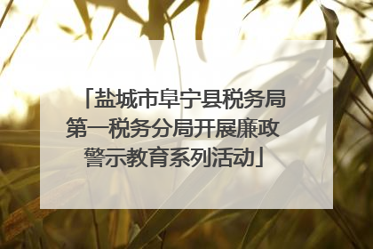 盐城市阜宁县税务局第一税务分局开展廉政警示教育系列活动