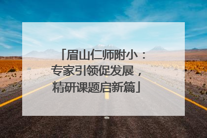 眉山仁师附小：专家引领促发展，精研课题启新篇