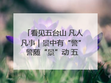 看见五台山 凡人凡事｜景中有“警” 警随“景”动 五台山景区“看得见”的平安守护