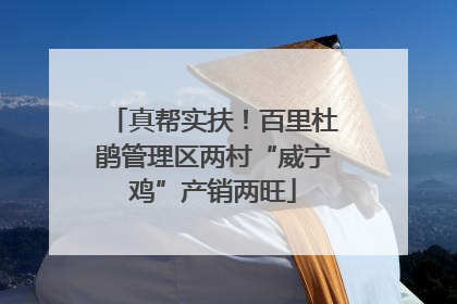 真帮实扶！百里杜鹃管理区两村“威宁鸡”产销两旺