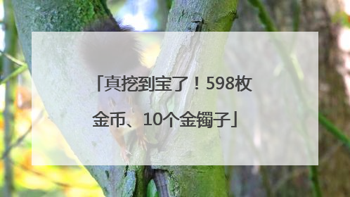 真挖到宝了！598枚金币、10个金镯子