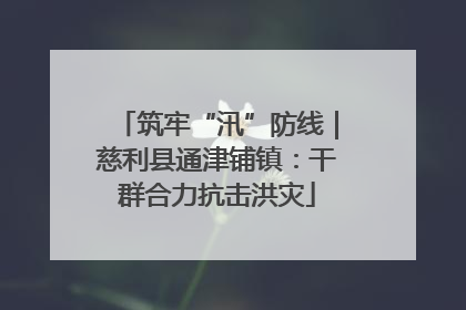 筑牢“汛”防线｜慈利县通津铺镇：干群合力抗击洪灾