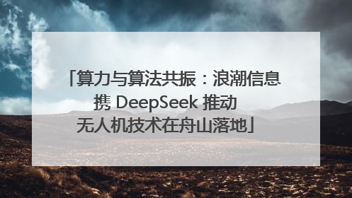 算力与算法共振：浪潮信息携 DeepSeek 推动无人机技术在舟山落地