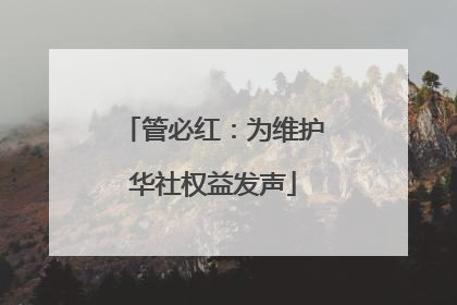 管必红：为维护华社权益发声