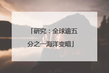 研究：全球逾五分之一海洋变暗