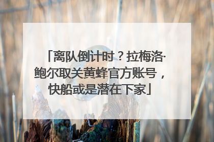 离队倒计时？拉梅洛·鲍尔取关黄蜂官方账号，快船或是潜在下家