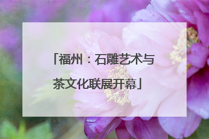 福州：石雕艺术与茶文化联展开幕