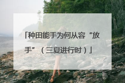 种田能手为何从容“放手”（三夏进行时）