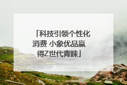 科技引领个性化消费 小象优品赢得Z世代青睐