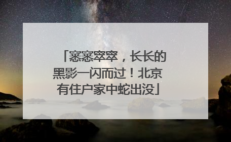 窸窸窣窣，长长的黑影一闪而过！北京有住户家中蛇出没