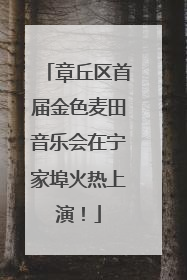章丘区首届金色麦田音乐会在宁家埠火热上演！