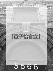 章子怡官宣